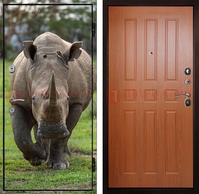 Металлическая дверь с фотопечатью носорога ДФ-31 в Йошкар-Оле
