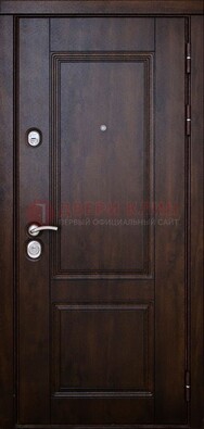 Темная железная дверь с виноритом ДВТ-4 в Йошкар-Оле